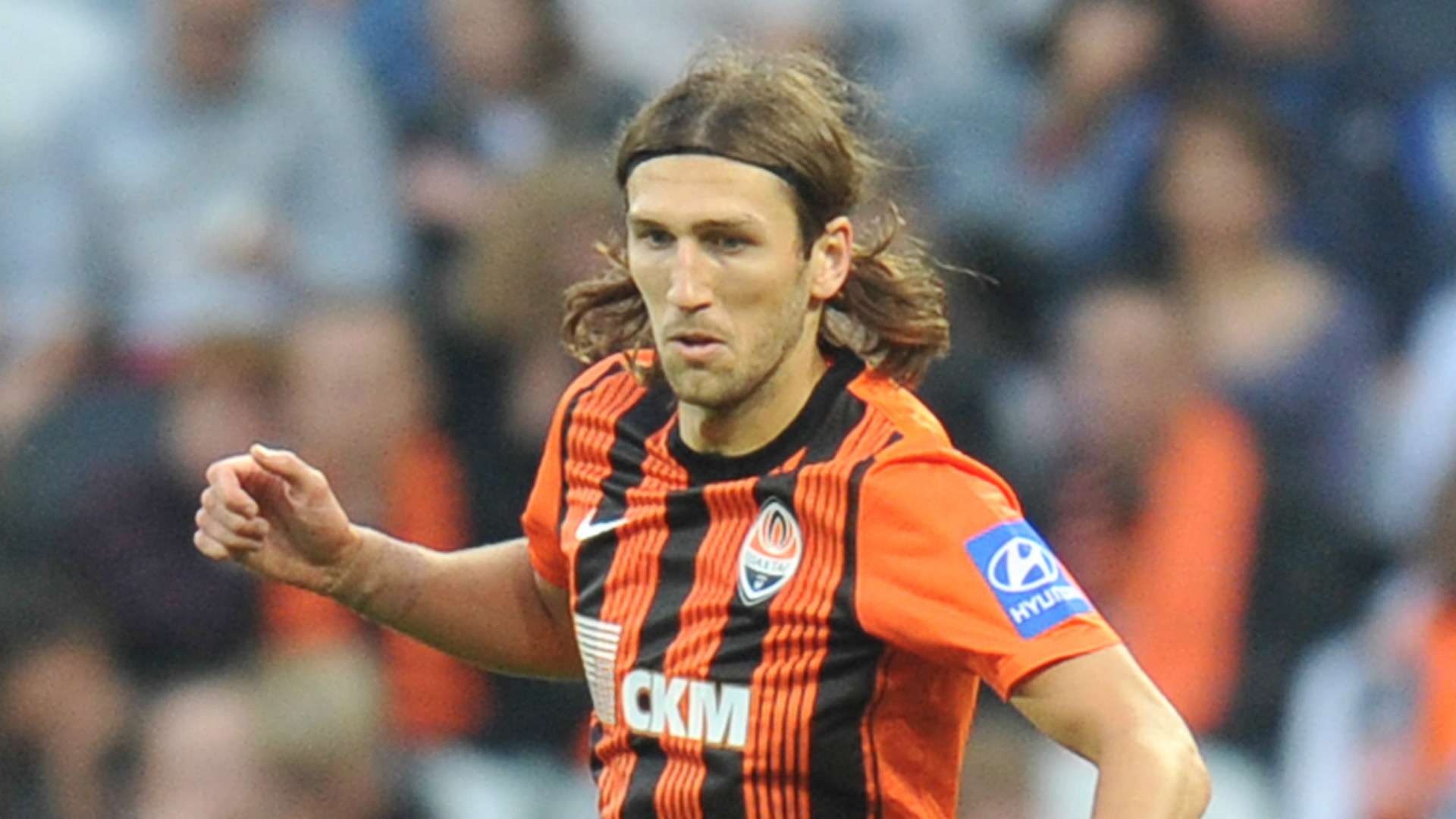 宁波倾城体 宁波倾城体